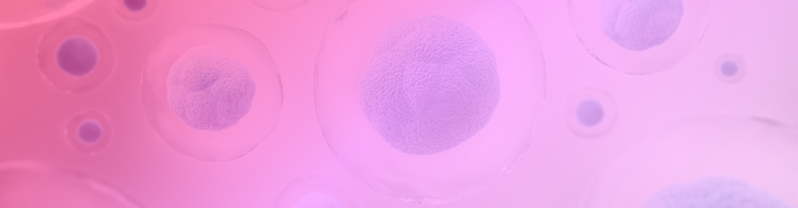 banner amh julio