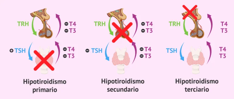 prueba rápida de tsh