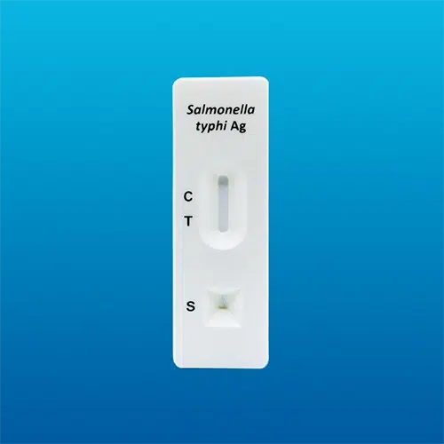 Prueba rápida de Antígeno de Salmonella typhi