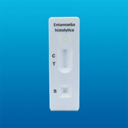 Prueba rápida de Entamoeba histolytica