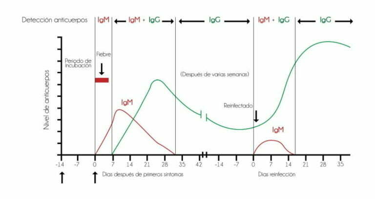 Kit Elisa de anticuerpos IgG para SARS Cov2