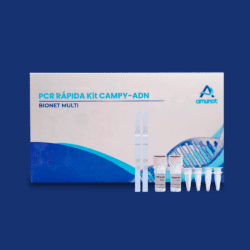 PCR rápida para Campylobacter (jejuni/coli) - Prueba diagnóstica Amunet fabricante mexicano COFEPRIS
