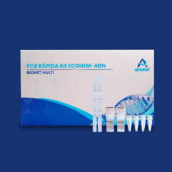 PCR rápida para E. coli O157:H7 (enterohemorrágica)