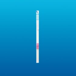 Tira para detección de embarazo HCG en orina - Prueba diagnóstica Amunet fabricante mexicano COFEPRIS